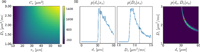 Figure 3 for Inverting brain grey matter models with likelihood-free inference: a tool for trustable cytoarchitecture measurements