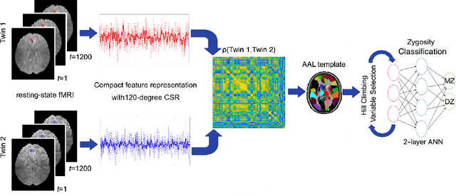Figure 1 for Automatic Identification of Twin Zygosity in Resting-State Functional MRI