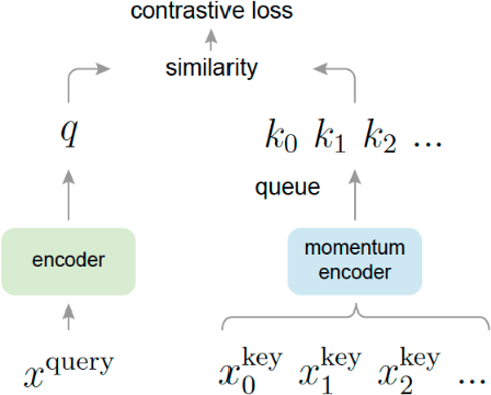 Figure 2 for Robotic Perception in Agri-food Manipulation: A Review