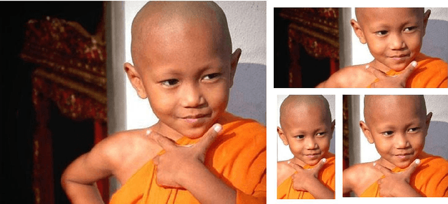 Figure 1 for User Constrained Thumbnail Generation using Adaptive Convolutions