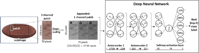 Figure 1 for A new take on measuring relative nutritional density: The feasibility of using a deep neural network to assess commercially-prepared pureed food concentrations