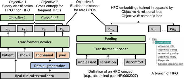 Figure 1 for Self-Supervised Detection of Contextual Synonyms in a Multi-Class Setting: Phenotype Annotation Use Case