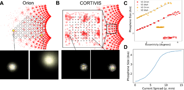 Figure 3 for Adapting Brain-Like Neural Networks for Modeling Cortical Visual Prostheses