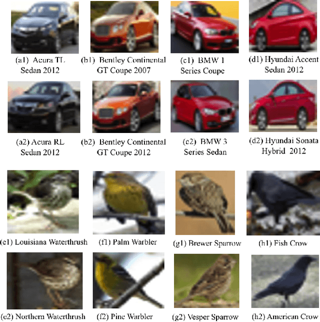 Figure 3 for Convolutional Low-Resolution Fine-Grained Classification