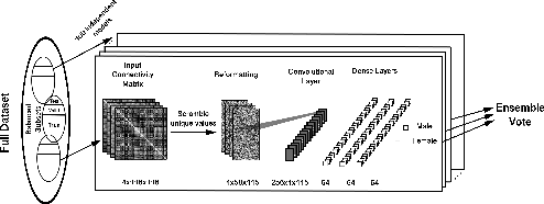 Figure 3 for Stochastic encoding of graphs in deep learning allows for complex analysis of gender classification in resting-state and task functional brain networks from the UK Biobank