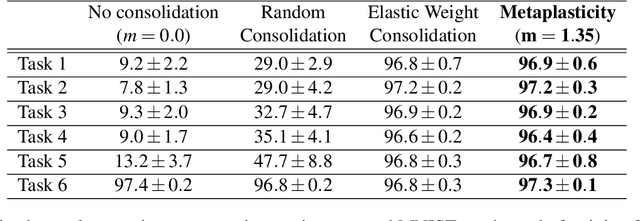 Figure 2 for Synaptic metaplasticity in binarized neural networks