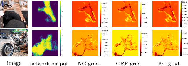Figure 2 for On Regularized Losses for Weakly-supervised CNN Segmentation
