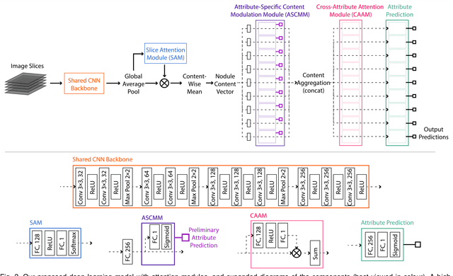 Figure 2 for Attention-Enhanced Cross-Task Network for Analysing Multiple Attributes of Lung Nodules in CT