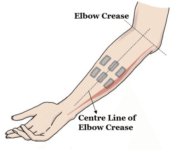 Figure 1 for Performance Optimization of Surface Electromyography (sEMG) based Biometric Sensing System for both Verification and Identification
