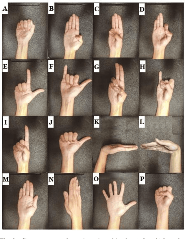 Figure 2 for Performance Optimization of Surface Electromyography (sEMG) based Biometric Sensing System for both Verification and Identification