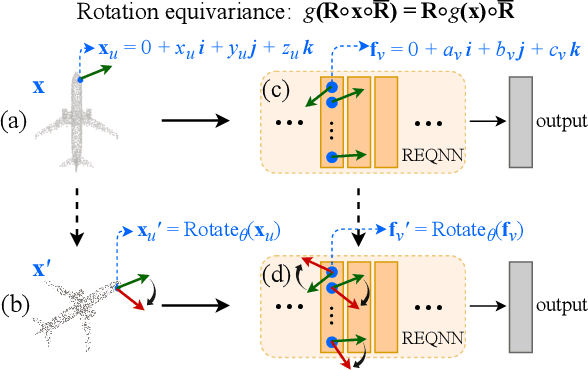 Figure 1 for 3D-Rotation-Equivariant Quaternion Neural Networks
