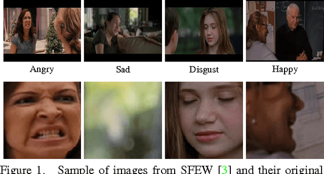 Figure 1 for Facial Expression Recognition from World Wild Web