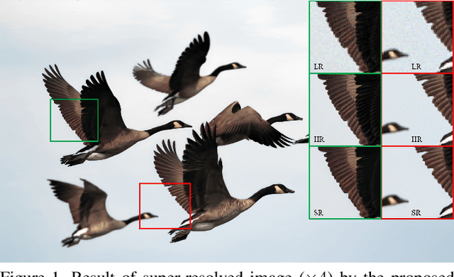 Figure 1 for Simple and Efficient Unpaired Real-world Super-Resolution using Image Statistics