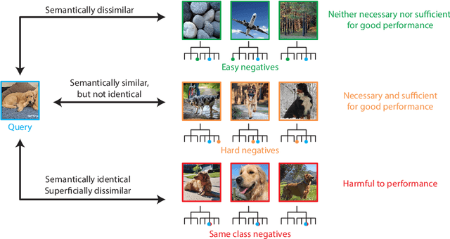 Figure 1 for Are all negatives created equal in contrastive instance discrimination?