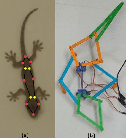 Figure 1 for Design and Analysis of a Robotic Lizard using Five-Bar Mechanism