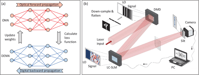 Figure 1 for Hybrid training of optical neural networks