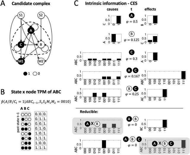 Figure 2 for A macro agent and its actions