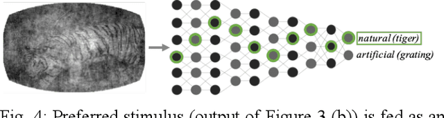Figure 4 for Decoding Neural Responses in Mouse Visual Cortex through a Deep Neural Network