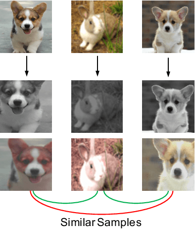Figure 1 for Weakly Supervised Contrastive Learning