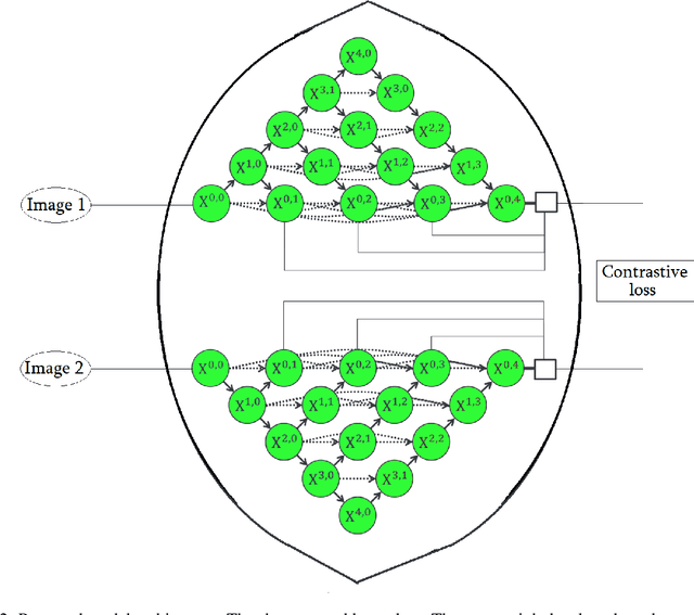 Figure 2 for ClamNet: Using contrastive learning with variable depth Unets for medical image segmentation