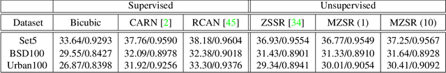 Figure 2 for Meta-Transfer Learning for Zero-Shot Super-Resolution