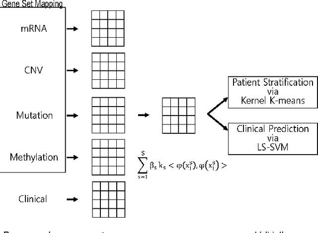 Figure 1 for Multi-Kernel LS-SVM Based Bio-Clinical Data Integration: Applications to Ovarian Cancer
