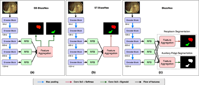 Figure 3 for BlazeNeo: Blazing fast polyp segmentation and neoplasm detection