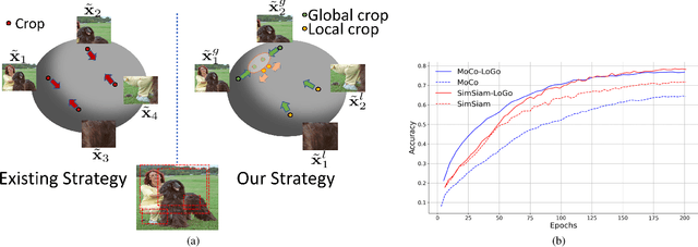 Figure 1 for Leverage Your Local and Global Representations: A New Self-Supervised Learning Strategy