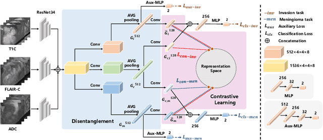 Figure 3 for Joint Prediction of Meningioma Grade and Brain Invasion via Task-Aware Contrastive Learning