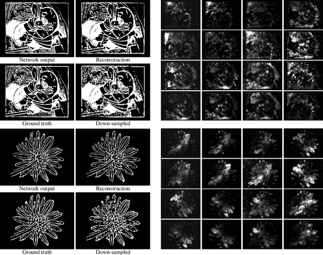 Figure 3 for Snapshot Ptychography on Array cameras