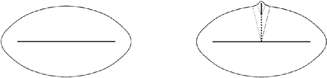 Figure 3 for Cosine-Pruned Medial Axis: A new method for isometric equivariant and noise-free medial axis extraction