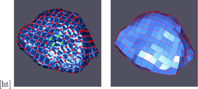 Figure 1 for Characterization of surface motion patterns in highly deformable soft tissue organs from dynamic Magnetic Resonance Imaging