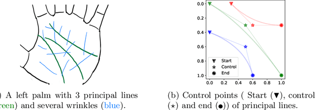 Figure 3 for Geometric Synthesis: A Free lunch for Large-scale Palmprint Recognition Model Pretraining