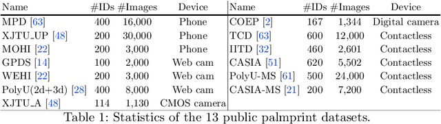 Figure 2 for Geometric Synthesis: A Free lunch for Large-scale Palmprint Recognition Model Pretraining