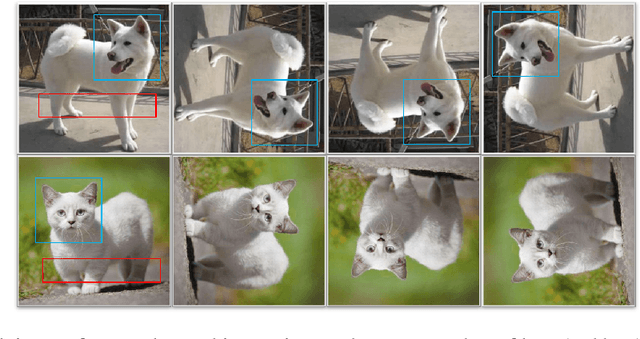 Figure 1 for Self-Supervised Learning Aided Class-Incremental Lifelong Learning