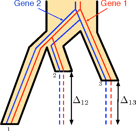 Figure 4 for Coalescent-based species tree estimation: a stochastic Farris transform