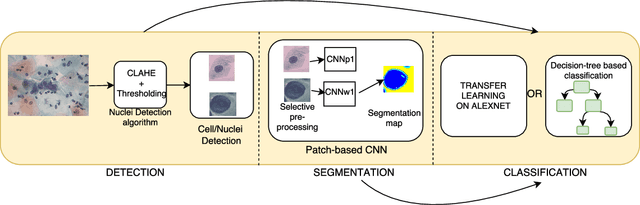 Figure 1 for Considerations for a PAP Smear Image Analysis System with CNN Features
