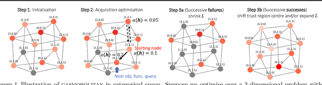 Figure 1 for Think Global and Act Local: Bayesian Optimisation over High-Dimensional Categorical and Mixed Search Spaces