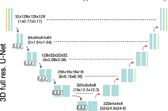 Figure 1 for Multi-structure segmentation for renal cancer treatment with modified nn-UNet