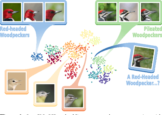 Figure 1 for Learning Concept Embeddings with Combined Human-Machine Expertise