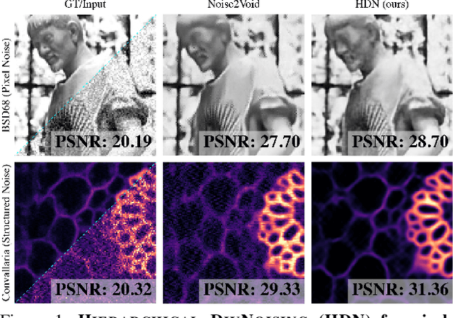 Figure 1 for Removing Pixel Noises and Spatial Artifacts with Generative Diversity Denoising Methods