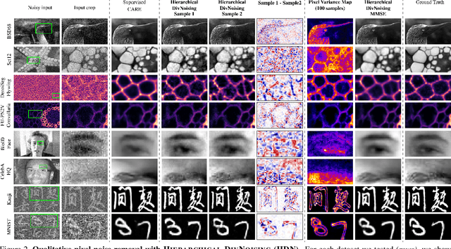 Figure 3 for Removing Pixel Noises and Spatial Artifacts with Generative Diversity Denoising Methods