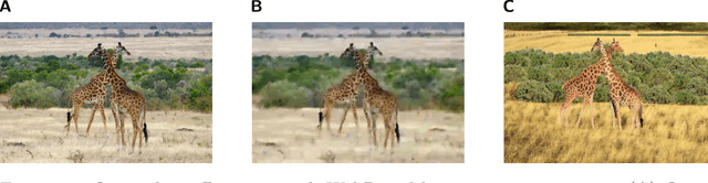 Figure 1 for Humans are still the best lossy image compressors