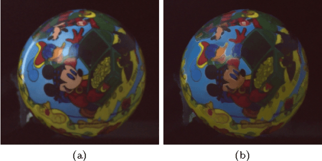 Figure 2 for BREN: Body Reflection Essence-Neuter Model for Separation of Reflection Components