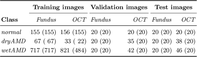 Figure 2 for Two-Stream CNN with Loose Pair Training for Multi-modal AMD Categorization