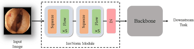 Figure 3 for InvNorm: Domain Generalization for Object Detection in Gastrointestinal Endoscopy