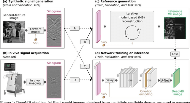 Figure 1 for DeepMB: Deep neural network for real-time model-based optoacoustic image reconstruction with adjustable speed of sound