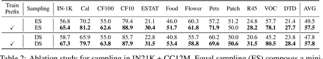 Figure 3 for Prefix Conditioning Unifies Language and Label Supervision