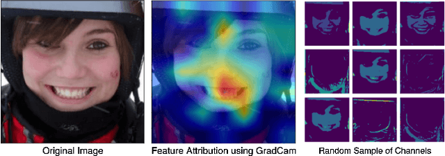 Figure 3 for DISCO: Dynamic and Invariant Sensitive Channel Obfuscation for deep neural networks