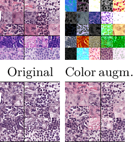 Figure 2 for A Closer Look at Domain Shift for Deep Learning in Histopathology